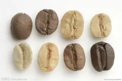 咖啡豆有多少分类 咖啡豆的种类有哪些