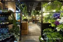 日本咖啡馆推荐 充满油绿的餐饮空间TEA HOUSE