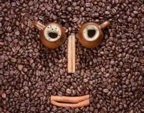 精品咖啡坦桑尼亚咖啡风味杏果、核枣、香料、麦芽巧克力