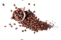 常见精品咖啡豆(单品咖啡)知识 曼特宁哥伦比亚咖啡豆