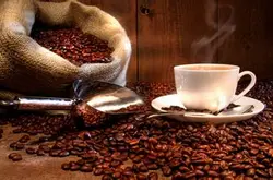埃塞俄比亚咖啡耶加雪菲咖啡豆埃塞俄比亚咖啡西达莫产区