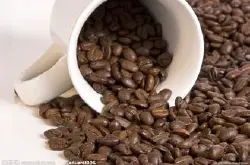 印尼咖啡豆价格巴厘岛猫屎咖啡印度尼西亚咖啡简介