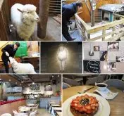 一家有羊咩咩的韩国咖啡馆