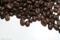 咖啡是肯尼亚的特产吗 肯尼亚咖啡树
