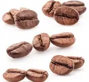 咖啡豆的主要成分