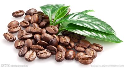 咖啡豆生产方法 咖啡豆等级规划  咖啡豆种类