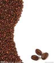 意大利蒸汽式咖啡 机械采摘和手工采摘咖啡豆