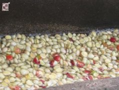 云南咖啡豆怎么处理的 湿刨法