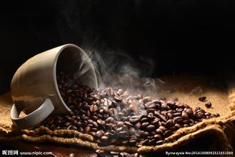 世界上有多少种咖啡豆种类