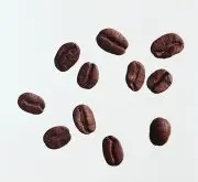 依筛网和瑕疵豆比例分级  瑕疵豆是破坏最后咖啡风味的重要因素