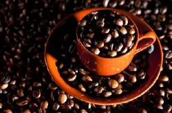 咖啡的产地有哪些 咖啡有多少种咖啡树
