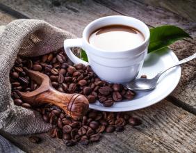 蓝山咖啡栽种方法  分类