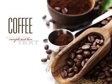咖啡豆的作用 种类有哪一些