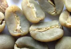豆/公豆，英文称為Peaberry或caracoli，是一种咖啡豆的变种