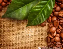 巴拿马咖啡豆价格平实，品质极高且稳定 咖啡庄园