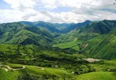 海地咖啡  海地主要的咖啡种植区是该国的北部