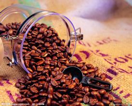 咖啡知识产品介绍和烘焙程度