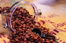 咖啡豆的烘焙程度与口味有什么影响