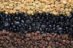巴西咖啡豆的品种有哪些 世界生产咖啡大国