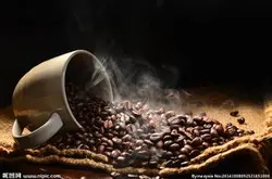 肯尼亚咖啡豆等级介绍