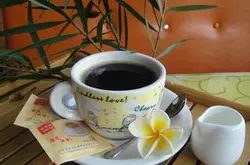 哥斯达黎加咖啡庄园咖啡简史种植