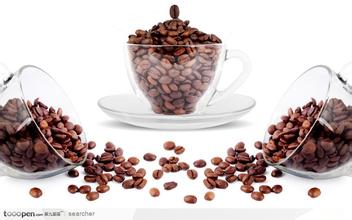 咖啡豆种裁方式 咖啡风味特征
