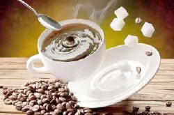 猫屎咖啡 - 热点事件 咖啡的种类
