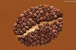 咖啡树的主要种类有哪些 咖啡豆何以要养?咖啡豆怎样养豆