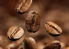 咖啡豆的等级规划速溶咖啡与其它咖啡区别