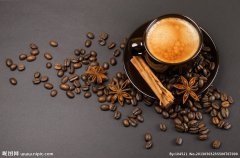 世界咖啡师大赛 来自50多个国家的咖啡师 WBC  精品咖啡