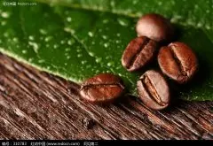 摩卡咖啡豆比绝大多数咖啡豆更小圆 也门咖啡 非洲咖啡