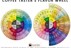 咖啡的风味轮与味谱图  咖啡知识 咖啡基础 scaa精品咖啡