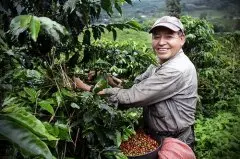 哥伦比亚咖啡四大产区 哥伦比亚精品单品咖啡口感风味特点