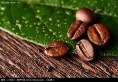 巴西咖啡生豆的处理工艺 咖啡豆  咖啡树 精品咖啡