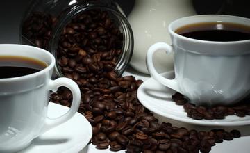 精品咖啡哥斯达黎加首都咖啡产地塔拉苏拉美他咖啡
