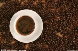 牙买加蓝山咖啡的基本介绍