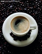 人类种裁海拔最高咖啡生产区哈拉尔高地咖啡豆