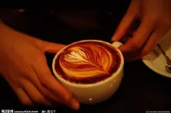 世界上唯一有野生咖啡的地方埃塞俄比亚哈拉尔的黑山地哈拉尔咖啡