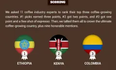 全球十大最顶级咖啡豆原产国-精品咖啡