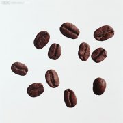 咖啡瑕疵豆分类与原因 全黑豆SCAA级别 虫蛀豆