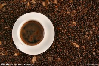 北部高地坦桑尼亚咖啡庄园介绍阿鲁沙咖啡庄园