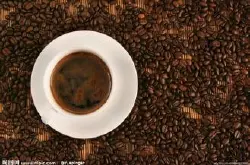 北部高地坦桑尼亚咖啡庄园介绍阿鲁沙咖啡庄园