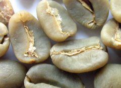 精品咖啡帕卡玛拉种咖啡生豆采用水洗处理有粘稠感醇度高整体干净