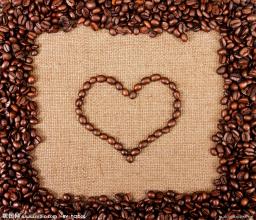 坦桑尼亚咖啡庄园产区阿鲁沙咖啡庄园介绍精品咖啡豆