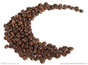 高品质的玻利维亚咖啡风味口感介绍雪脉庄园拉巴斯东北部的央加斯