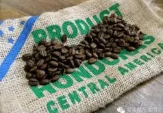 洪都拉斯新政致咖啡产区规模缩减