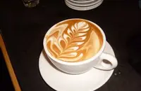 台湾阿里山玛翡庄园精品咖啡豆介绍
