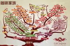 咖啡家族树中文版与英文版 两张图详细了解咖啡品种体系