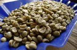 危地马拉共和国咖啡真正传入危地马拉是在1750年