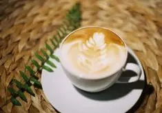 印尼麝香猫咖啡风味口感庄园产区特点介绍精品咖啡豆
